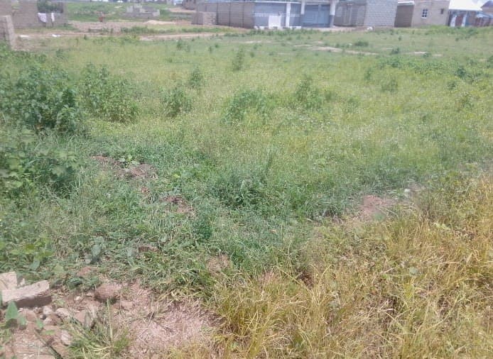 100x50ft land